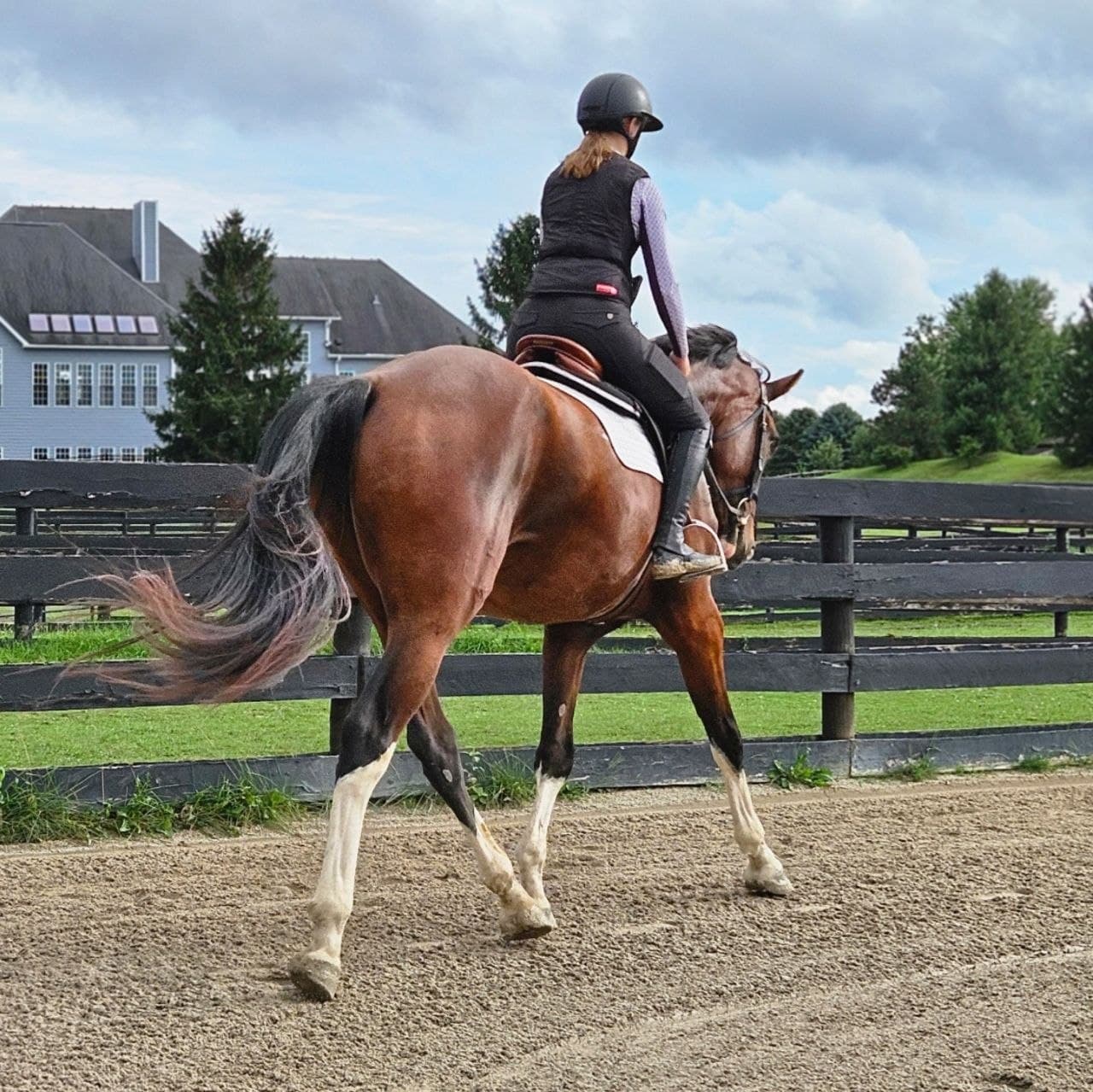 Rider schooling a bay horse in an outdoor arena at the farm