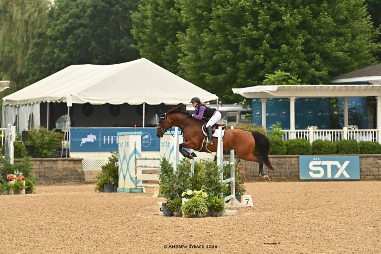 Rider in purple jumping a bay horse at HITS Chicago