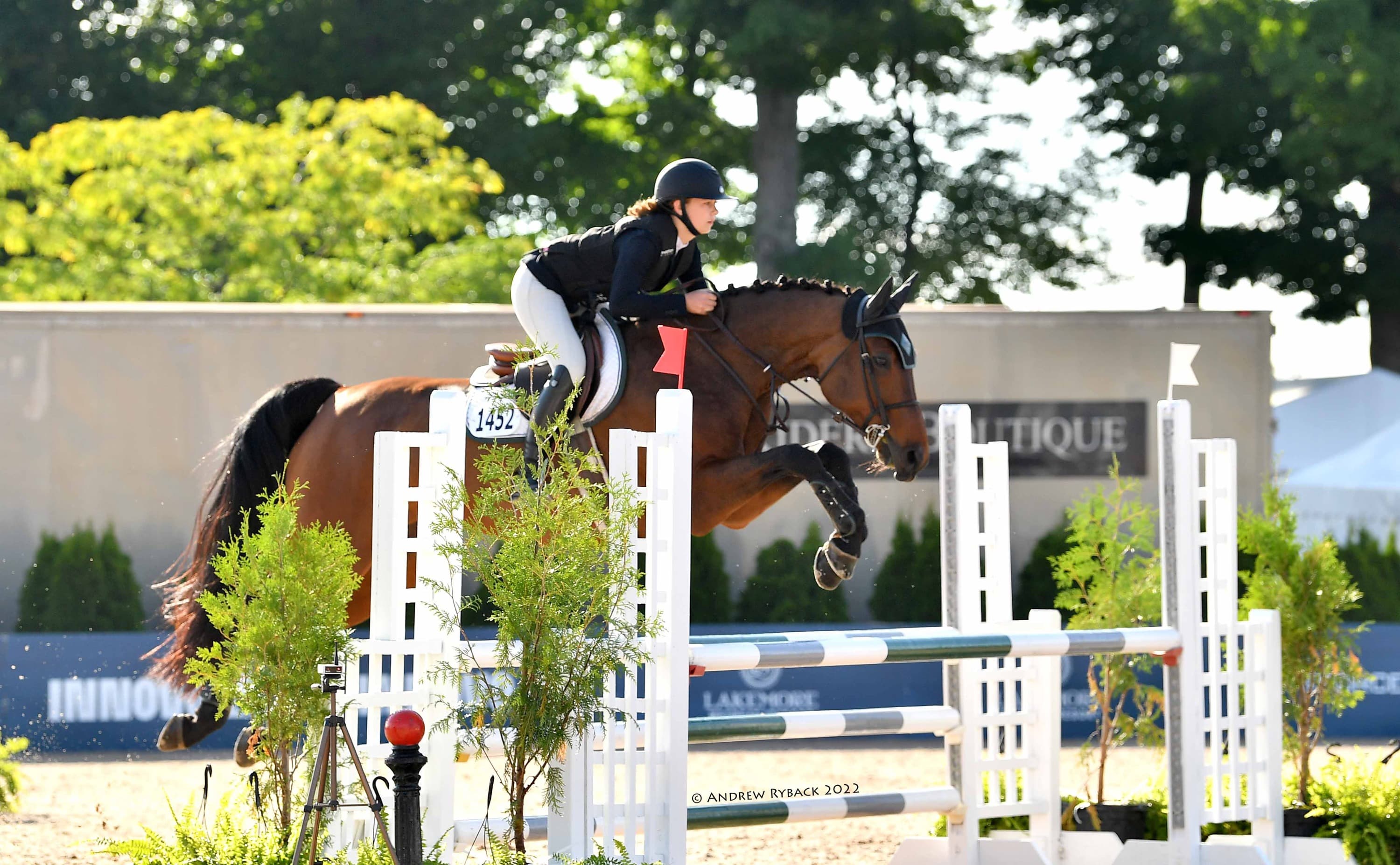 Rider and bay horse jumping in the show ring
